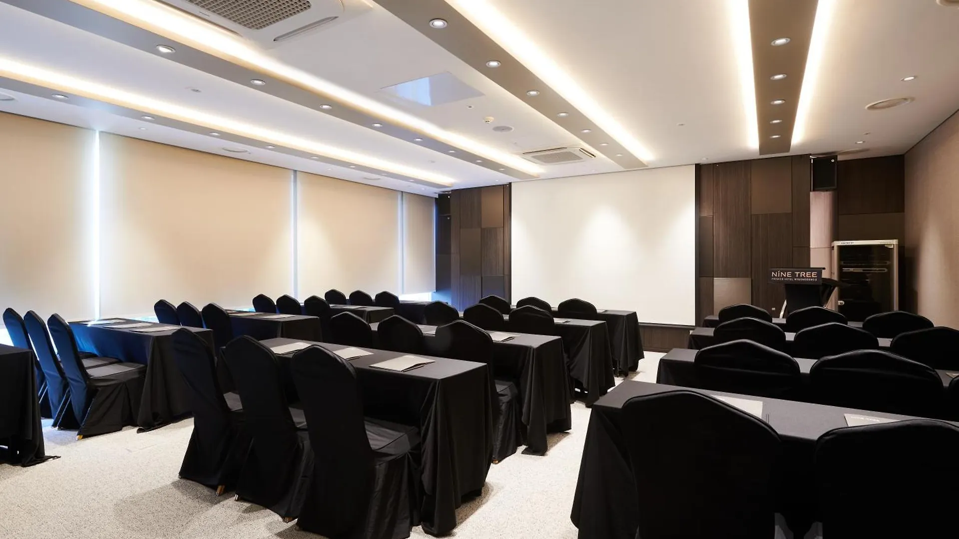 Hotel Nine Tree By Parnas Seoul Myeongdong 2 4*,