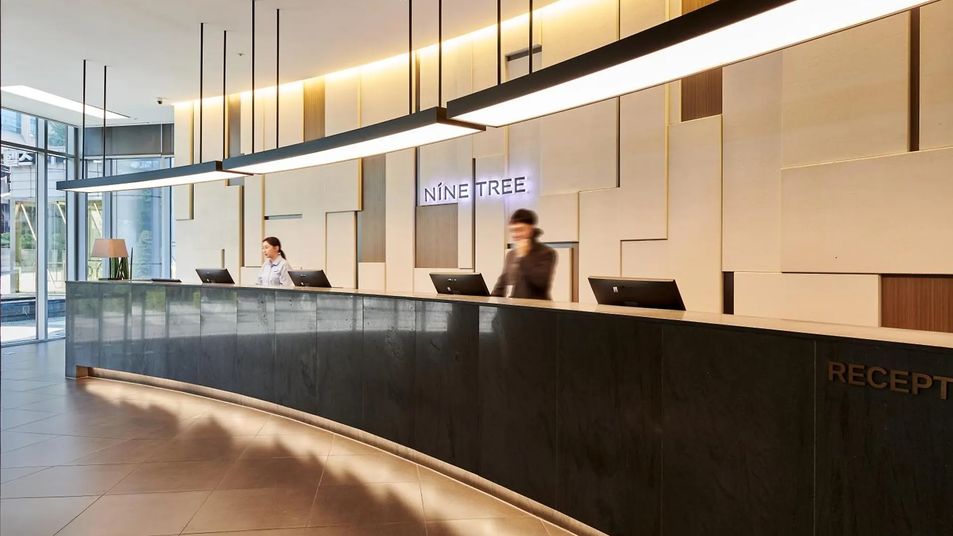 Hotel Nine Tree By Parnas Seoul Myeongdong 2 4*,