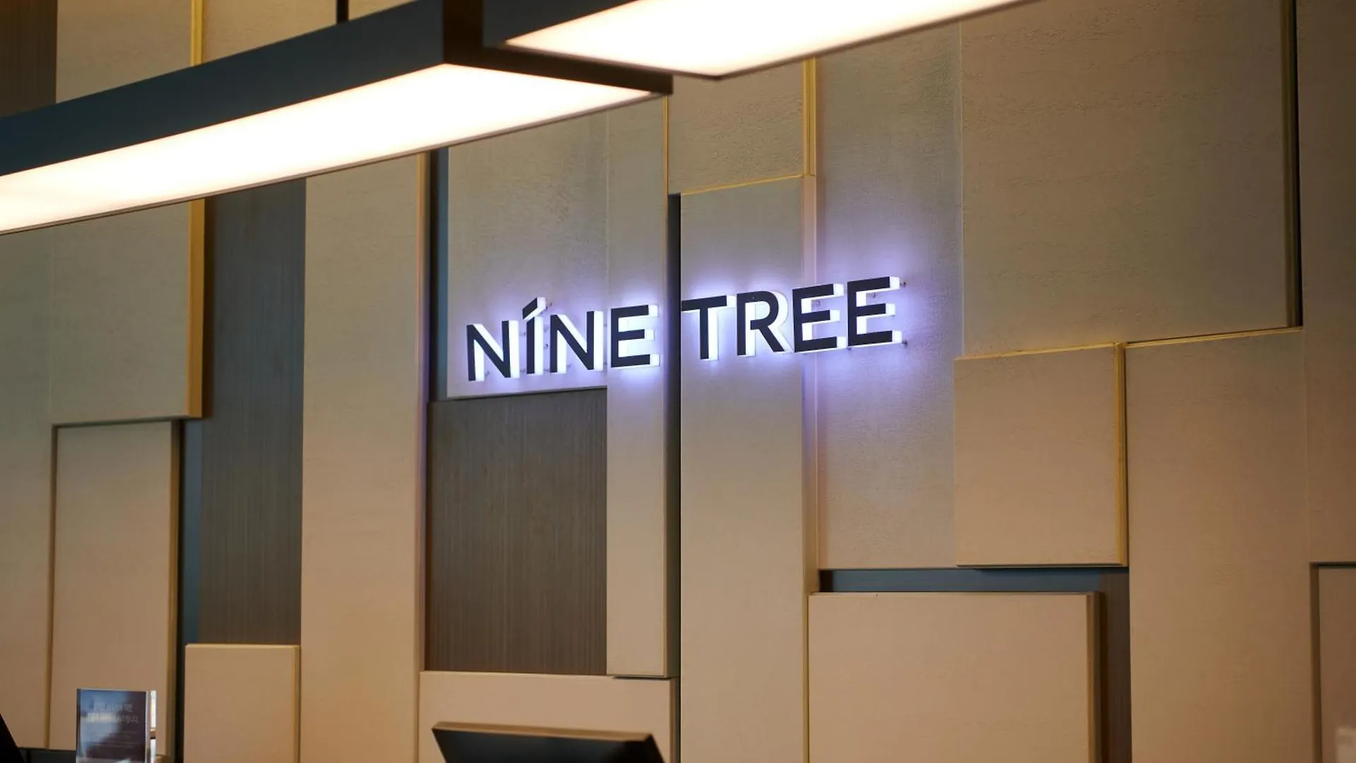 Hotel Nine Tree By Parnas Seoul Myeongdong 2